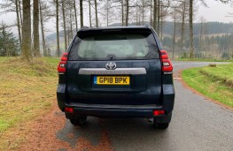 Toyota Land Cruiser, 2018, rear