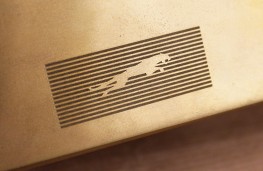 Jaguar logo, 2024, leaper