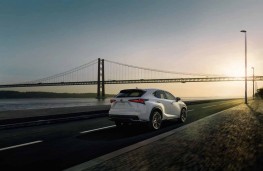 Lexus NX 300h Sport, 2018, rear