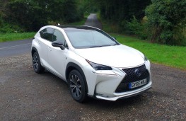 Lexus NX300h F Sport, front static