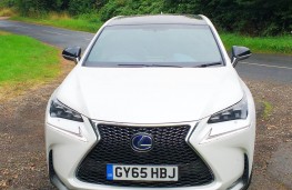 Lexus NX300h F Sport, full front static