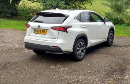 Lexus NX300h F Sport, rear static