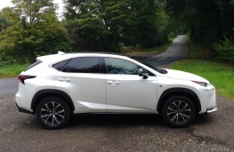 Lexus NX300h F Sport, side static