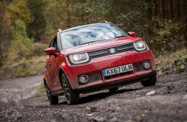 Suzuki Ignis, 2017, off road