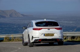 Kia Proceed, rear