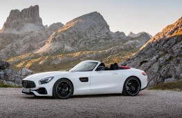 Mercedes-Benz AMG GT Roadster static