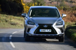 Lexus NX 300h, 2018, nose