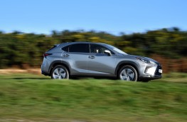 Lexus NX 300h, 2018, side