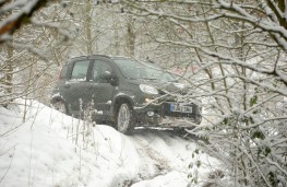 Fiat Panda 4x4, snow