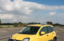 Fiat Panda Cross, upright