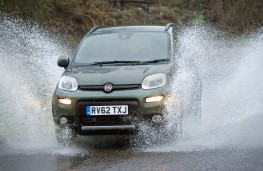 Fiat Panda front in water