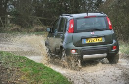 Fiat Panda rear action