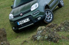 Fiat Panda tall