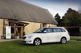 Skoda Fabia Greenline II Estate, profile