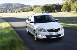 Skoda Fabia Greenline II Estate, action
