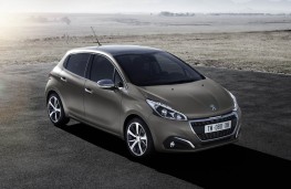 Peugeot 208 in Ice Grey