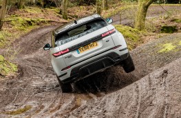 Range Rover Evoque, offroad 2