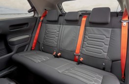 Citroen C4 Cactus Rip Curl, rear seatbelts