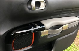 Citroen C4 Cactus Rip Curl, door pull