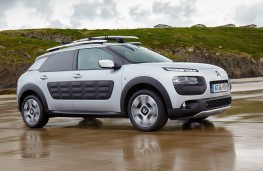 Citroen C4 Cactus Rip Curl, side, beach