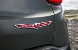 Jeep Renegade Trailhawk, 2019, badge