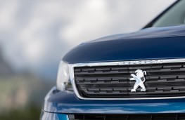 Peugeot Rifter, 2018, grille