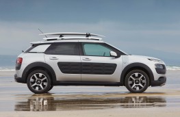 Citroen C4 Cactus Rip Curl, side