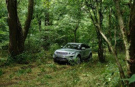 Range Rover Evoque in a wood