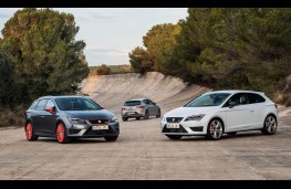 SEAT Leon 2.0 TSI Cupra 290, line-up