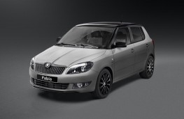 Skoda Fabia Reaction