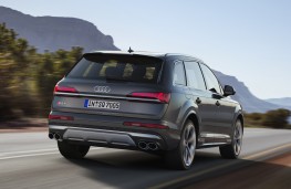 Audi SQ7 TDI, 2019, rear