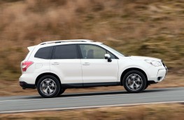 Subaru Forester, side action