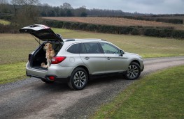 Subaru Outback, with dog