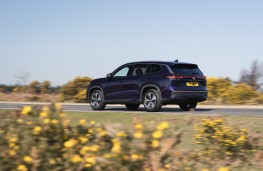 Volkswagen Tayron, 2025, rear, action