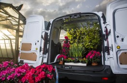 Ford Transit Connect, loaded