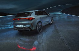 Cupra Terramar, 2024, rear