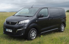 Peugeot Traveller, front