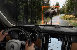 Volvo V90, 2016, large animal detection