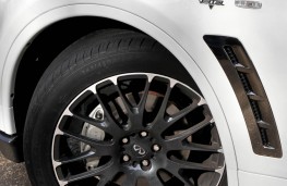 Infiniti FX Vettel Edition, badge