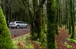 Volkswagen Passat Alltrack, rear