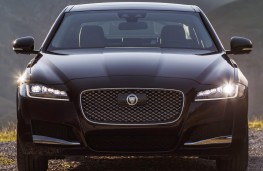 Jaguar XF, Portfolio, nose