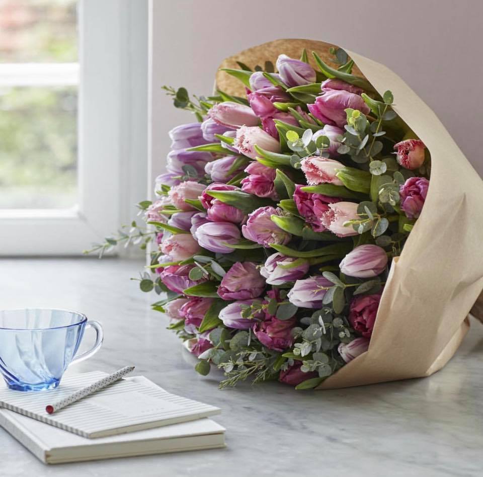 50253097 2123841294358662 1882149978726465536 n