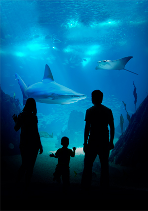 Ofertas 300x425   atlantis