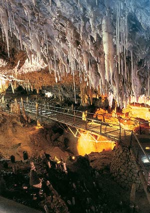 Euro6000  300x425 cuevaelsoplao