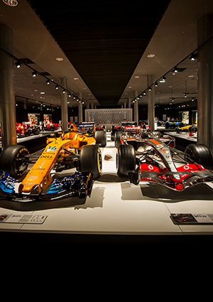 Ofertas 300x425   museo f alonso