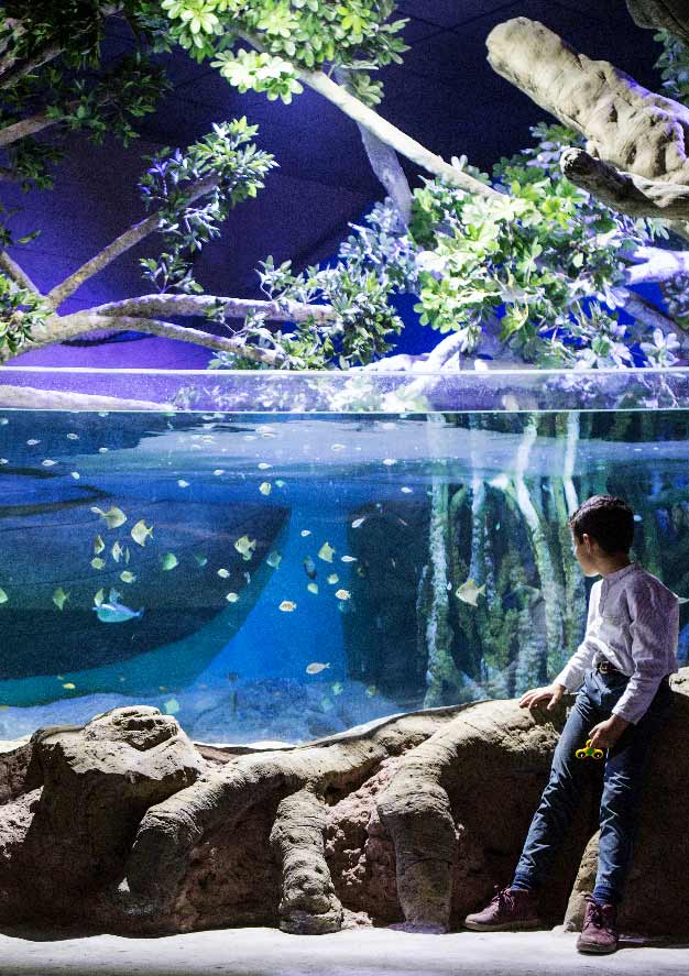 Euro6000 300x425 aquariosevilla