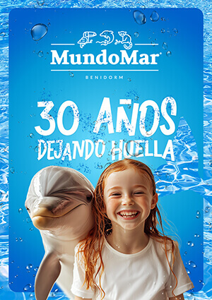 300x425px euro6000 mm26