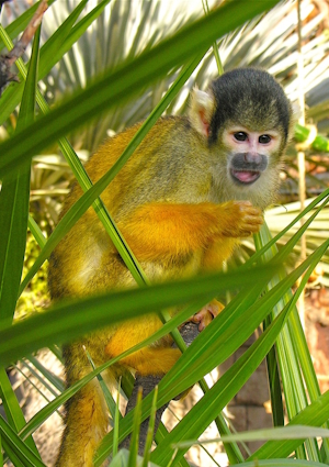 Terra natura 300x425