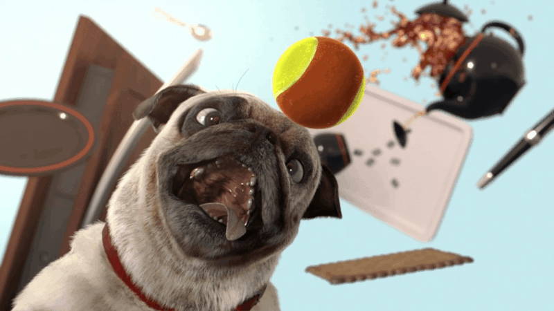 Which animation film is inspired by classic slapstick comedy and homemade videos of pets?