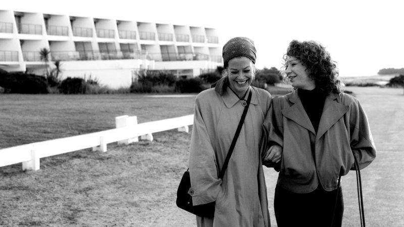 Which film was not featured during the first edition of the European Cinema Night?